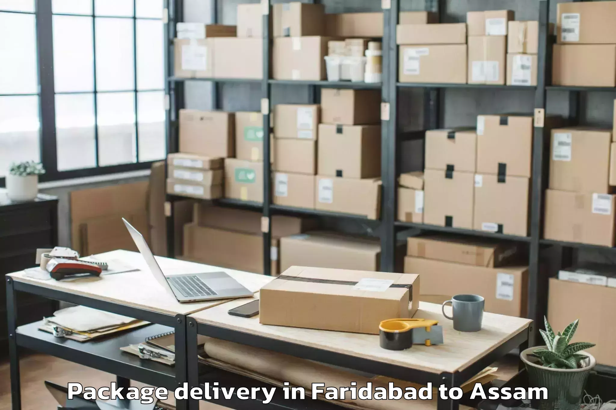 Professional Faridabad to Lumding Railway Colony Package Delivery